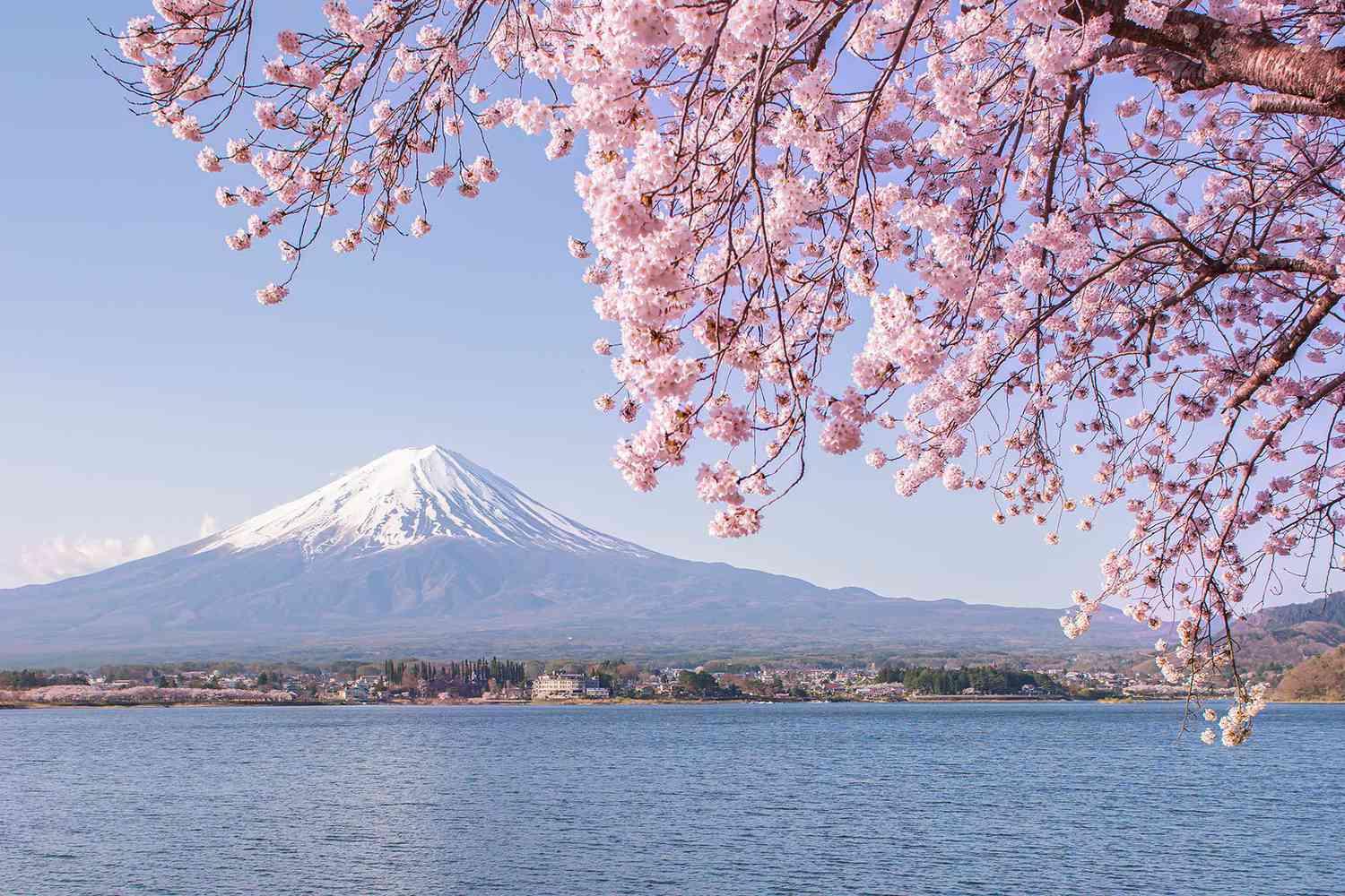 Japan Temple